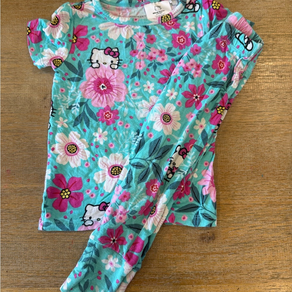 Posh Peanut Floral Kids Pajama Set - Pink and Teal
